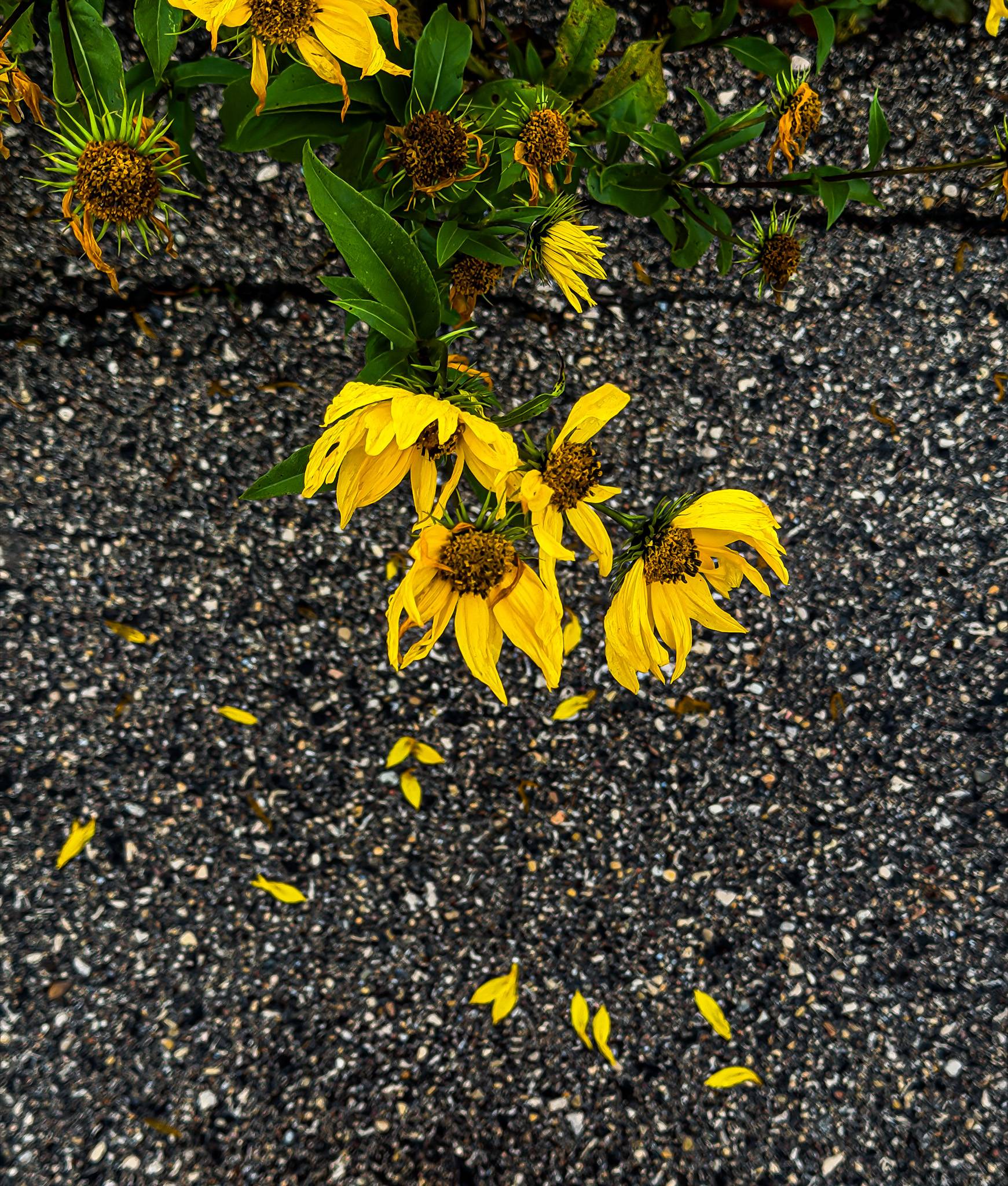 A phone photograph of an ordinary everyday scene, showing how familiar places can become interesting when you look at them differently.