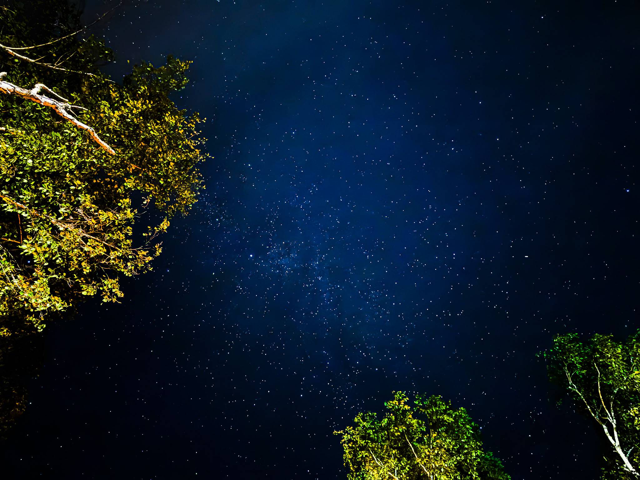 iPhone night mode photo taken of the starry night sky.