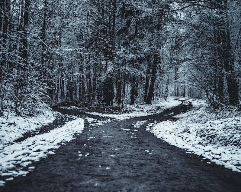 a fork in a road through a snowy forest