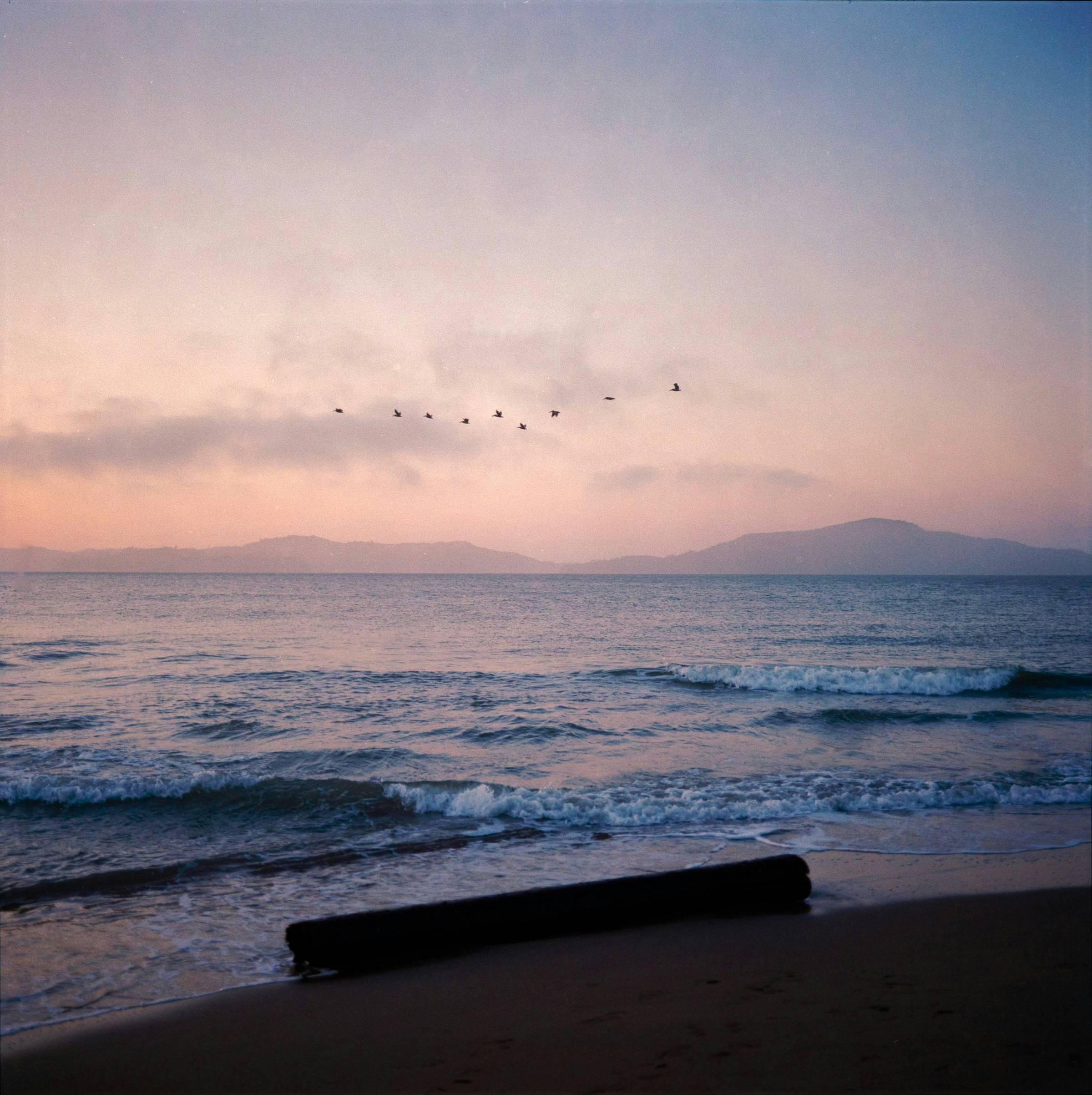 Crissy Field East Beach, San Francisco, CA