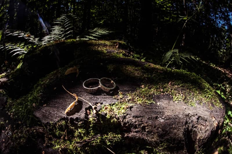 A pair of sunglasses sitting on top of a moss covered rock