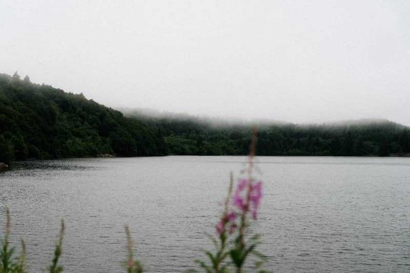 Lake surrounded by misty green hills with flower.