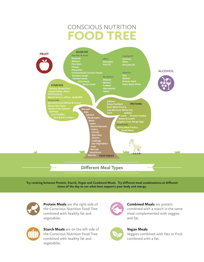 CN Food Tree