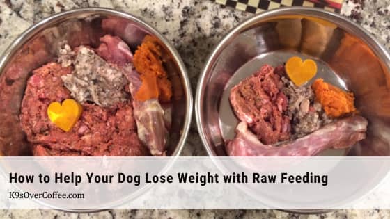 2 bowls filled with homemade raw dog food next to each other