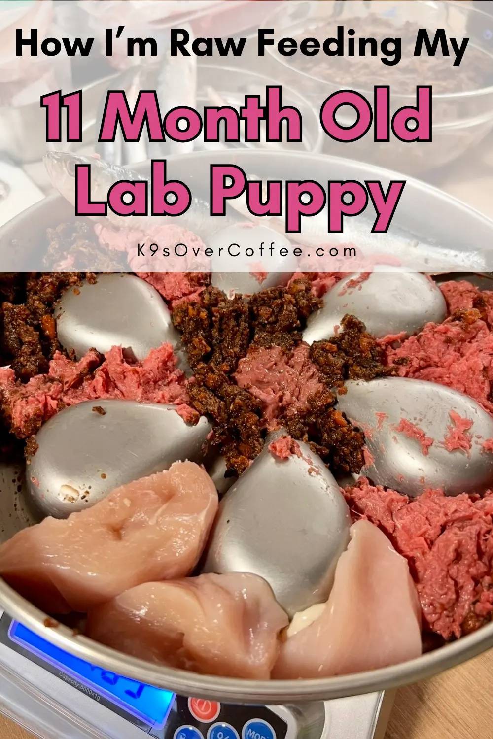 Raw dog food meal prep for an 11 month old Labrador puppy on a kitchen scale, showing a ground beef blend, chicken breast, raw fish and pureed veggies in a stainless steel bowl, with the title "How I'm Raw Feeding My 11 Month Old Lab Puppy" and K9sOverCof