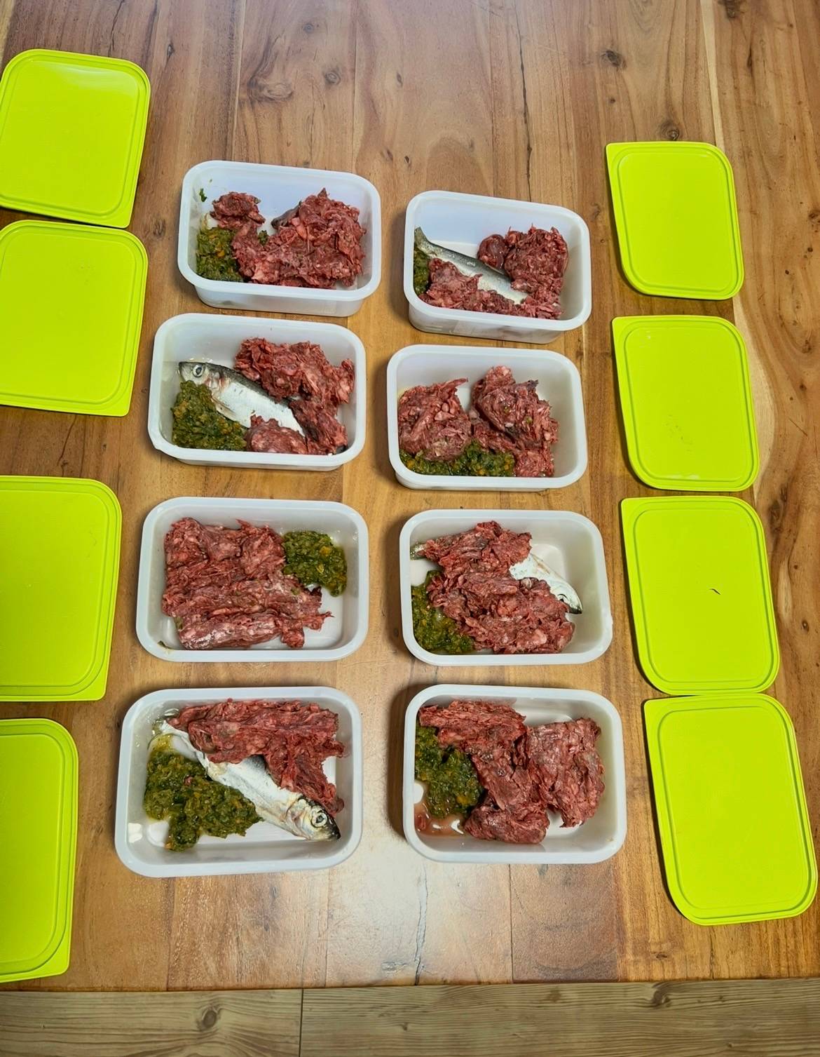 Meal-prepped raw dog food portions in reusable containers with ground beef, muscular organs and secreting organs, whole herring, and pureed plant matter made from lettuce, cucumber, pumpkin, sweet potato, apple, and banana