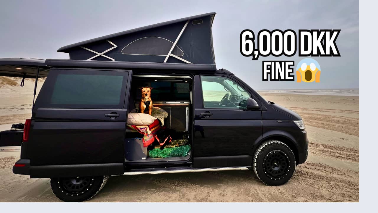 Black mini camper van on a beach with raised roof top tent and 2 dogs visible inside the van