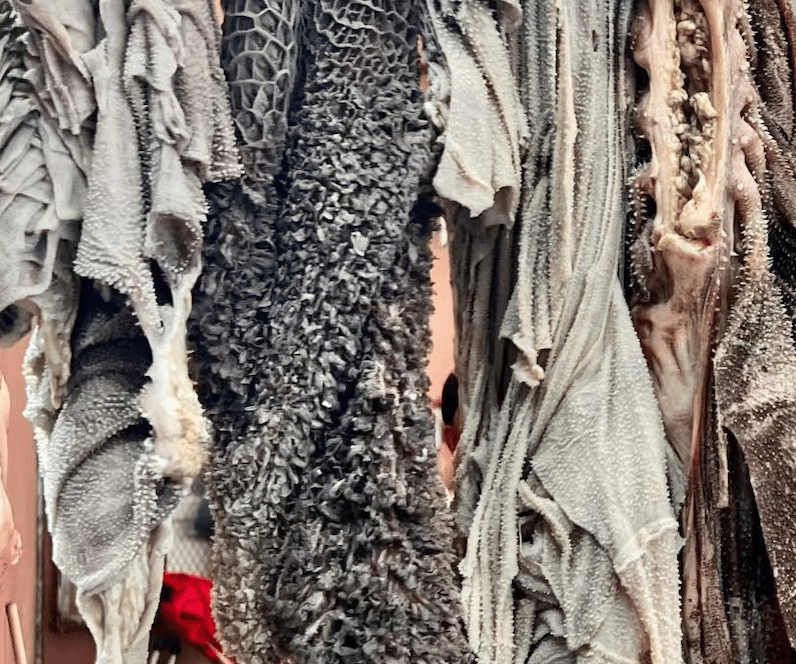 Raw green tripe hanging at an outdoor market in Morocco