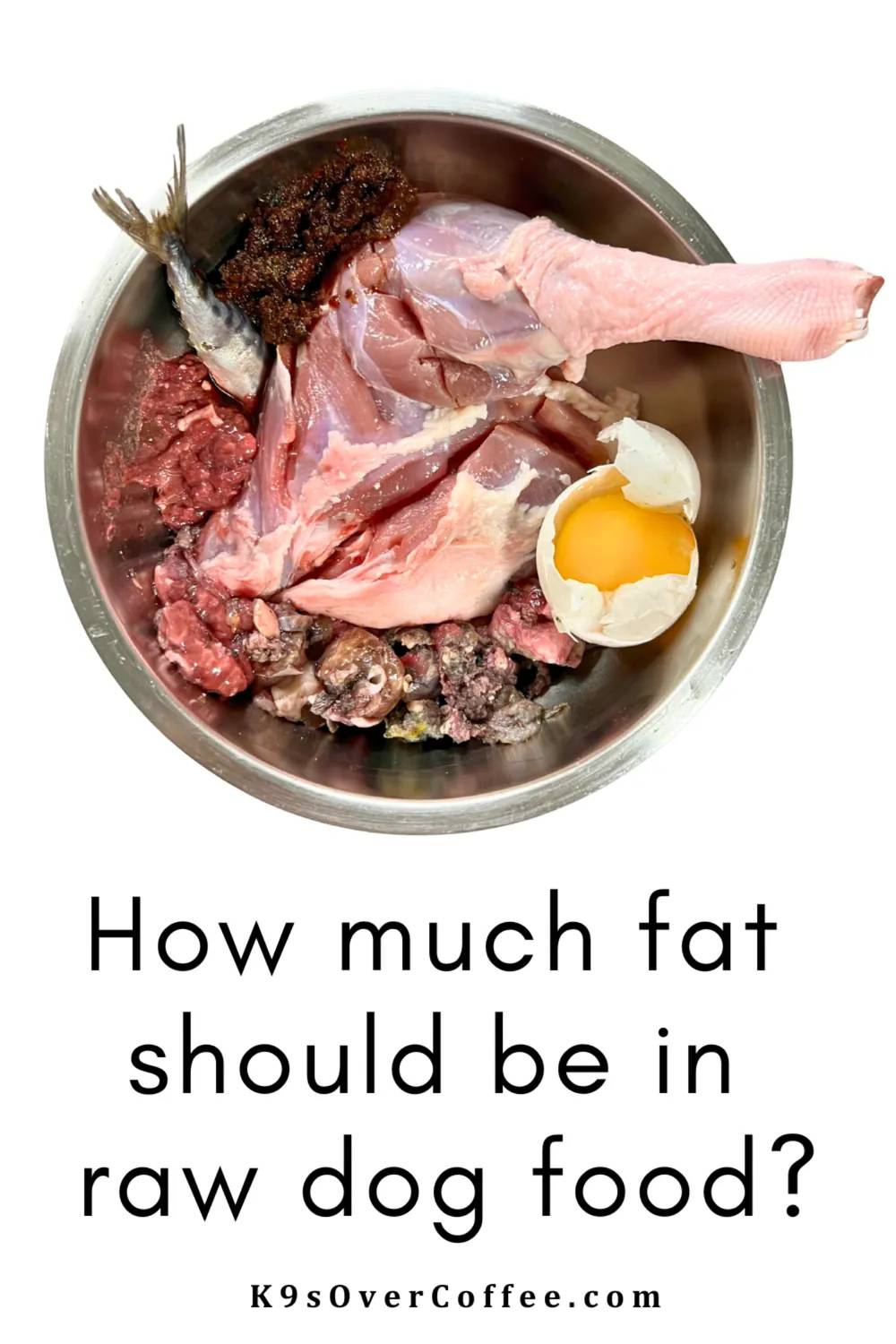 Raw dog food bowl with chicken leg, ground beef, fish, raw egg yolk and tripe, illustrating fat levels in homemade raw dog meals