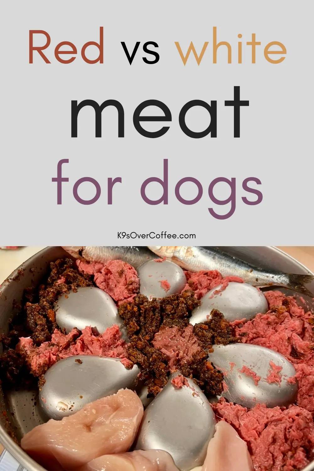 "Red vs White Meat for Dogs" and "K9sOverCoffee.com" above a bowl of raw beef, chicken, and sardines