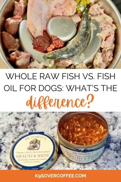 Raw dog food bowl with whole oily fish alongside fish oil supplements, comparing whole raw fish versus fish oil for dogs