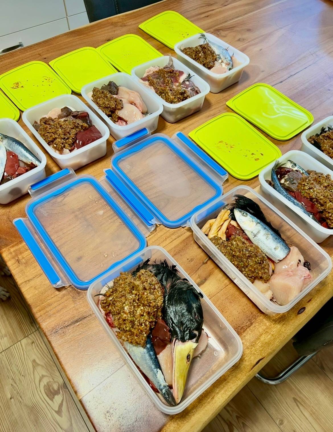 Raw dog food meal prep with duck heads, duck feet, herring, organs, muscle meat, and puréed vegetables in portioned containers