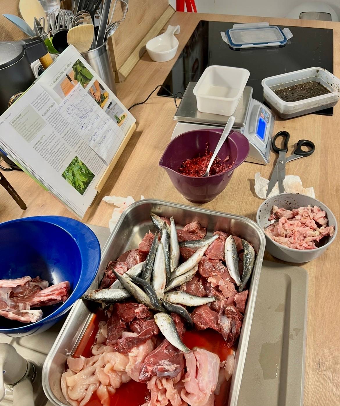 Raw dog food meal prep components on a kitchen counter