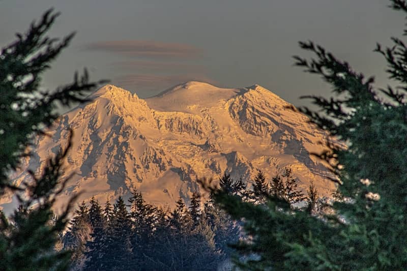 A view of a snow covered mountain through some trees