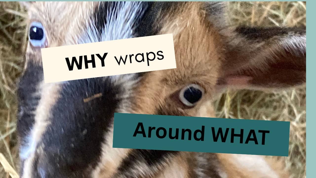 Why wraps around What