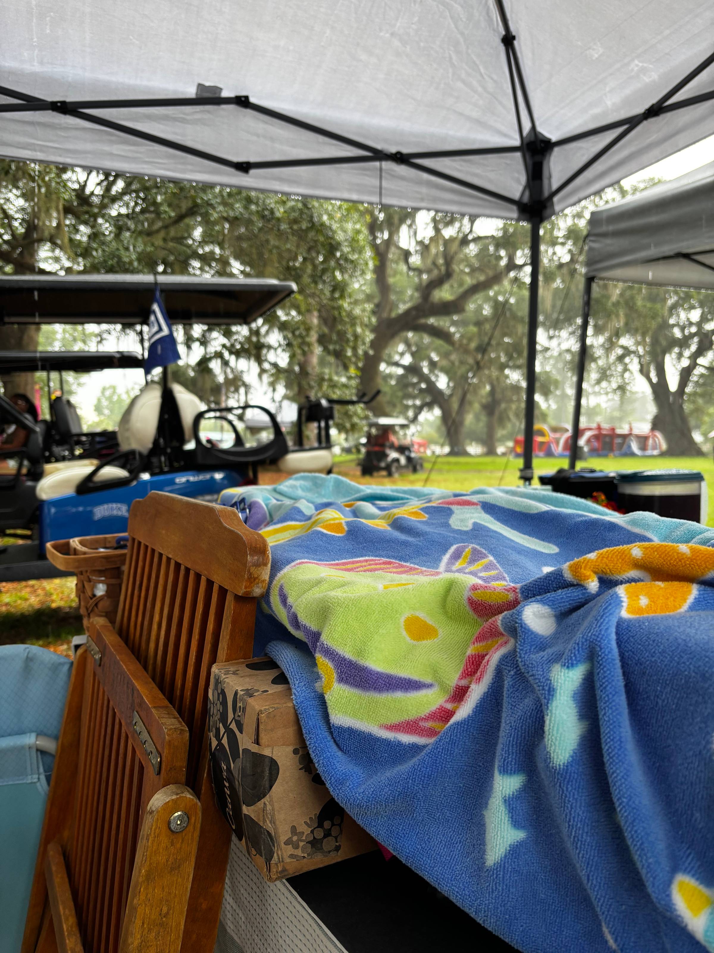 trees canopy vendor show pack up