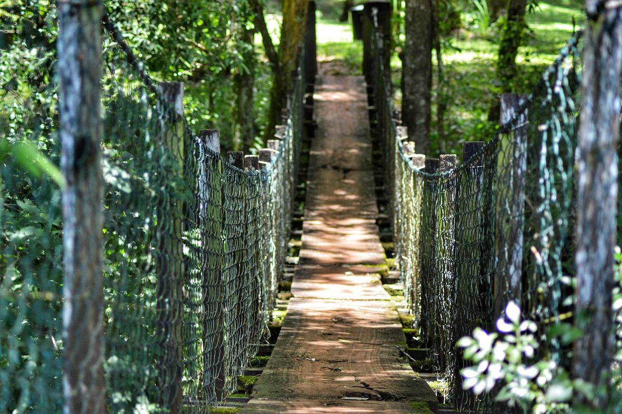 Worse-case-scenario road and pathway