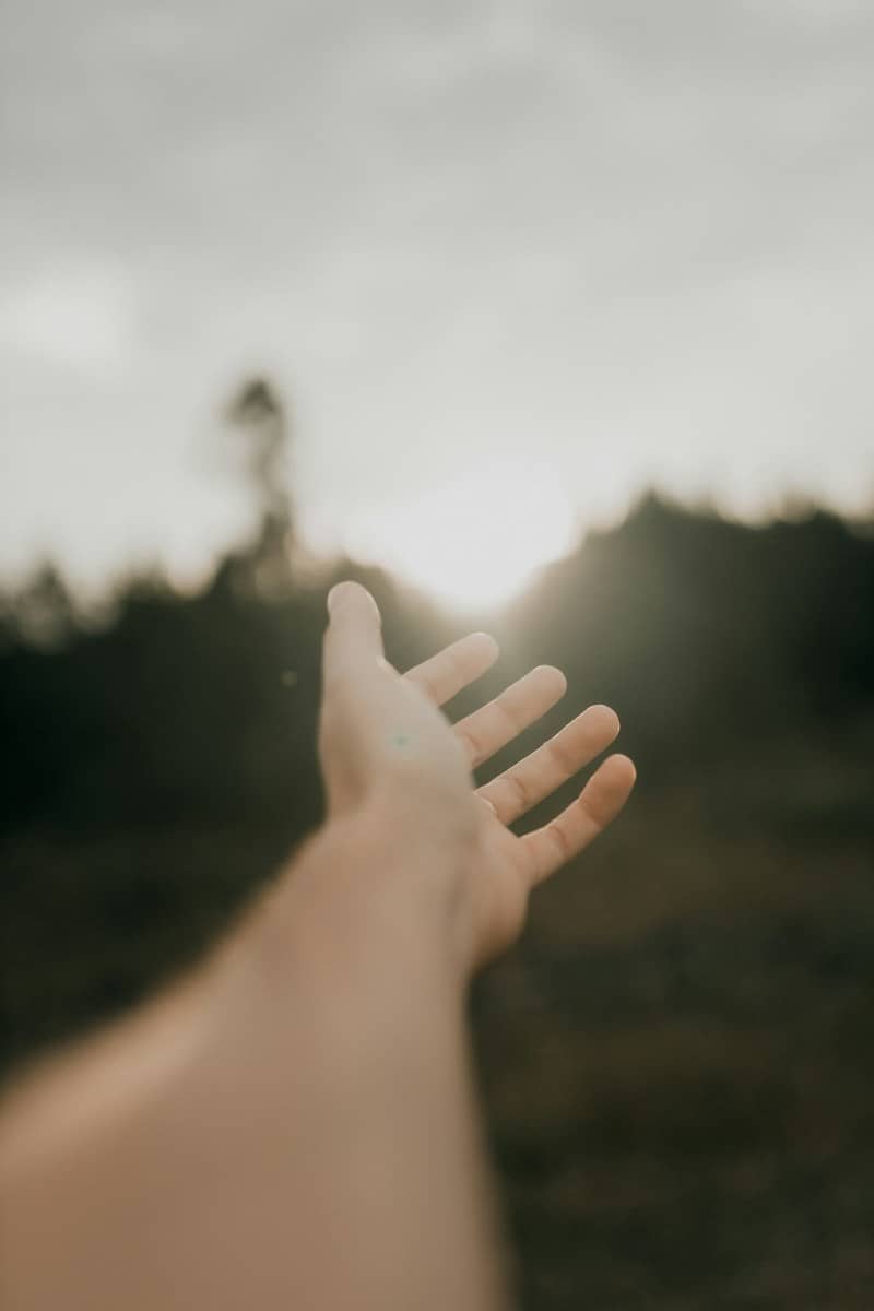 A hand reaches out towards the sunlight. Touching the Heart of God Email Course.