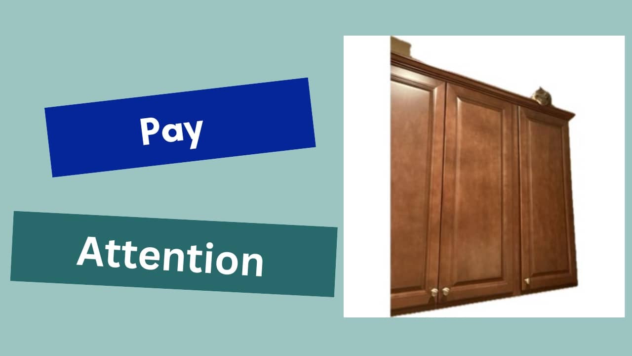 Pay attention to the things that distract you like a cat on top of a high cabinet