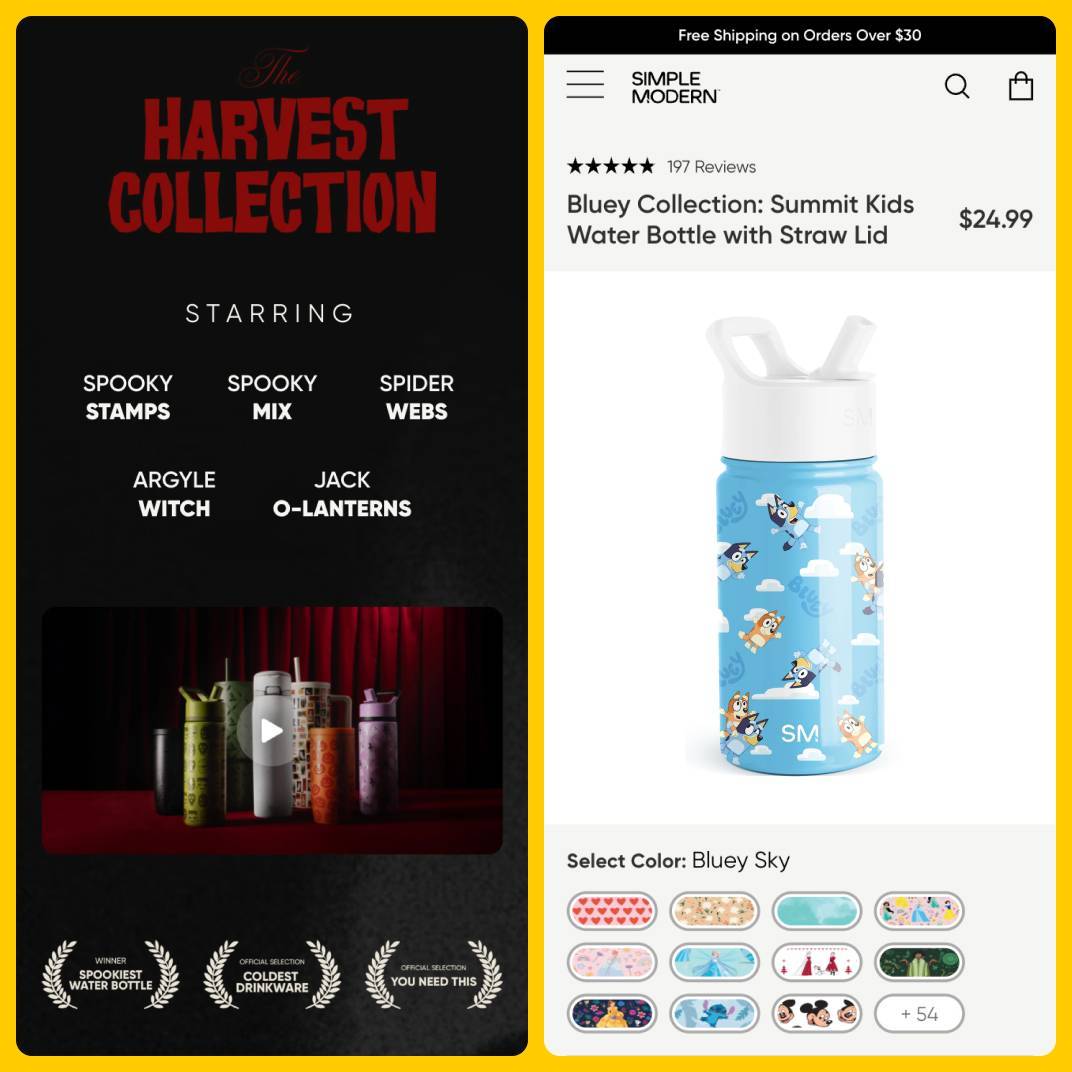 Simple Modern Harvest Collection and Bluey