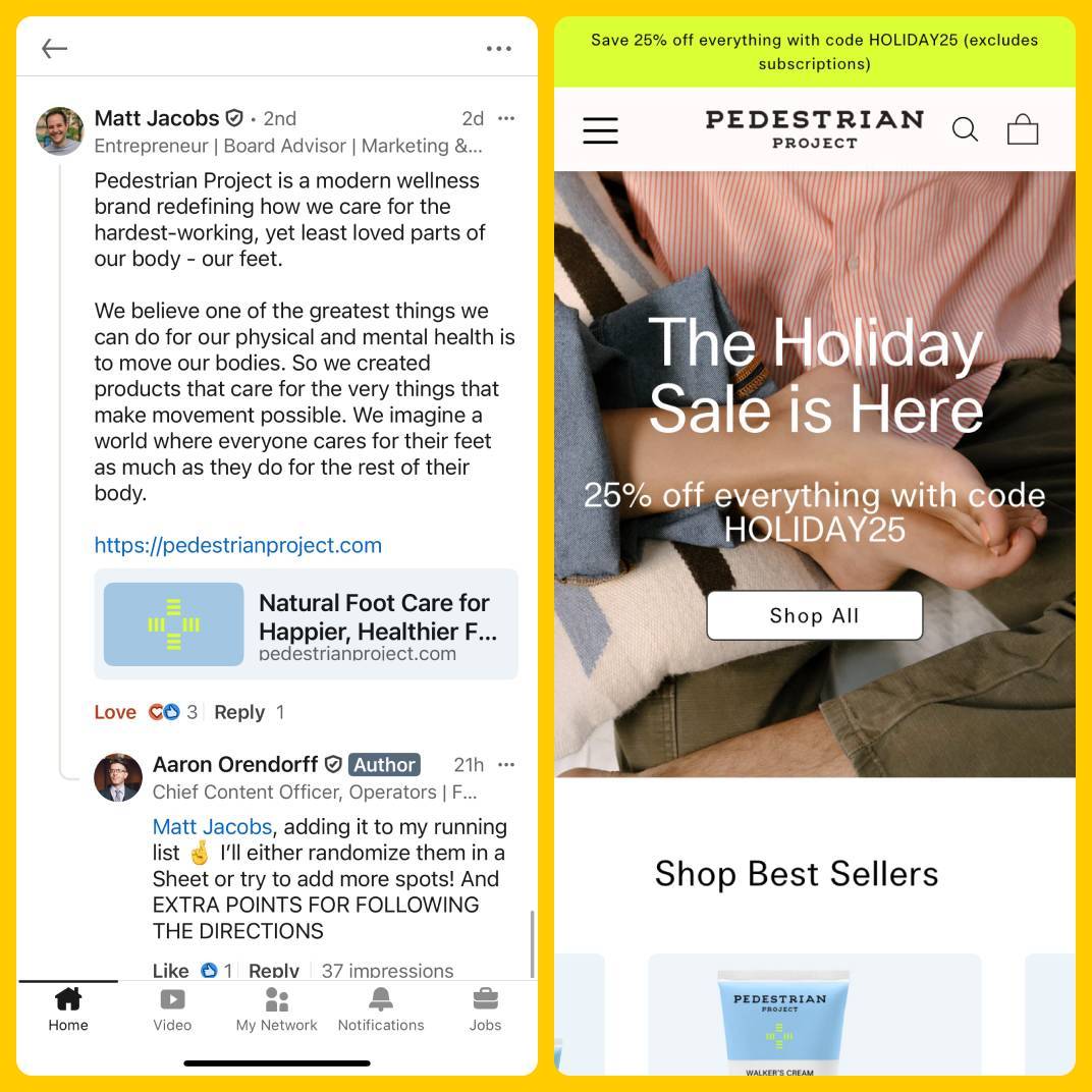 ​Pedestrian Project​