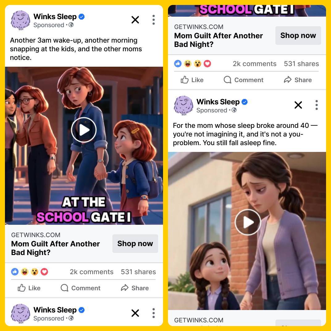 Winks Meta Ads
