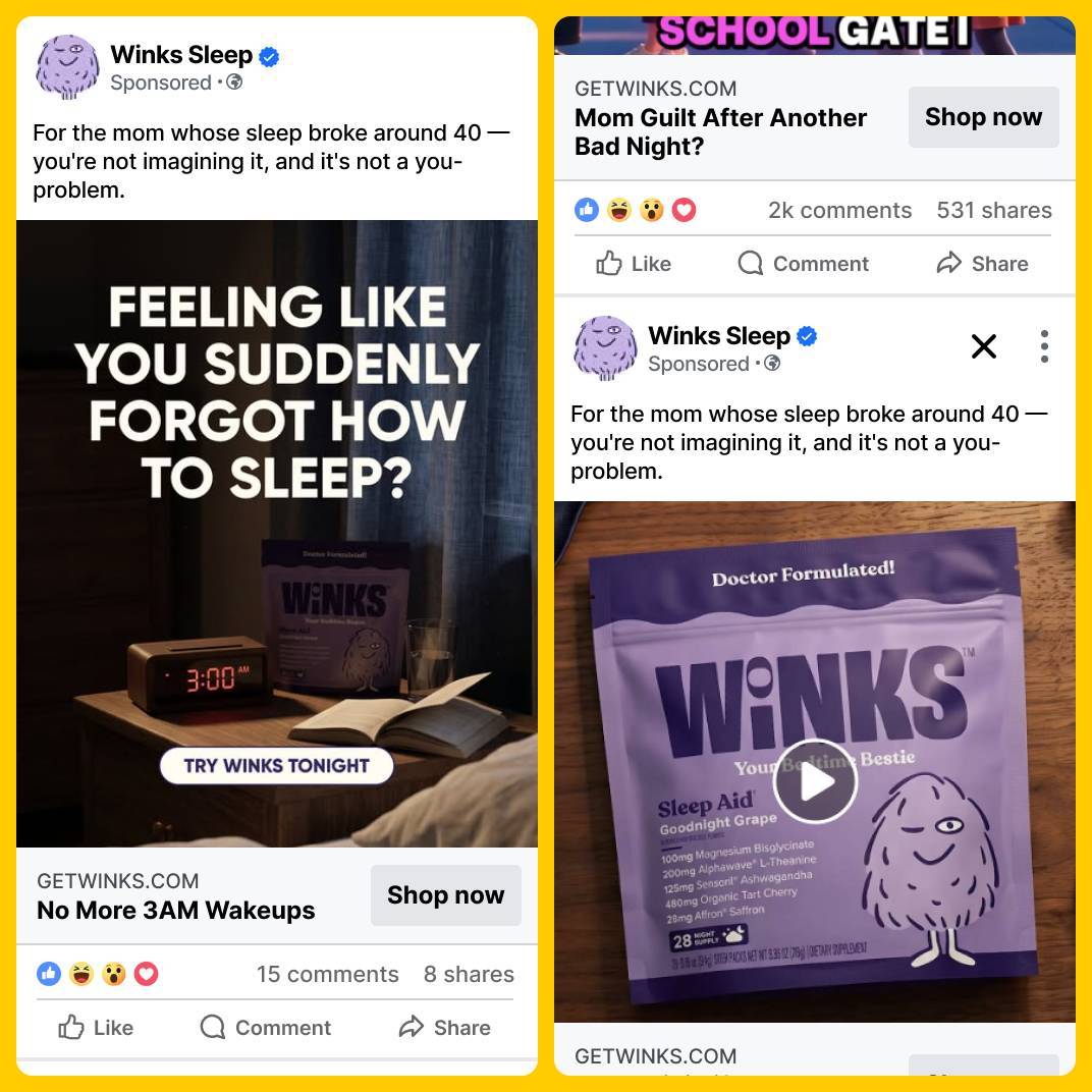 Winks Meta Ads