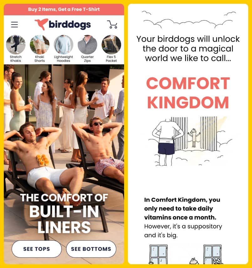 Birddogs & Comfort Kingdom