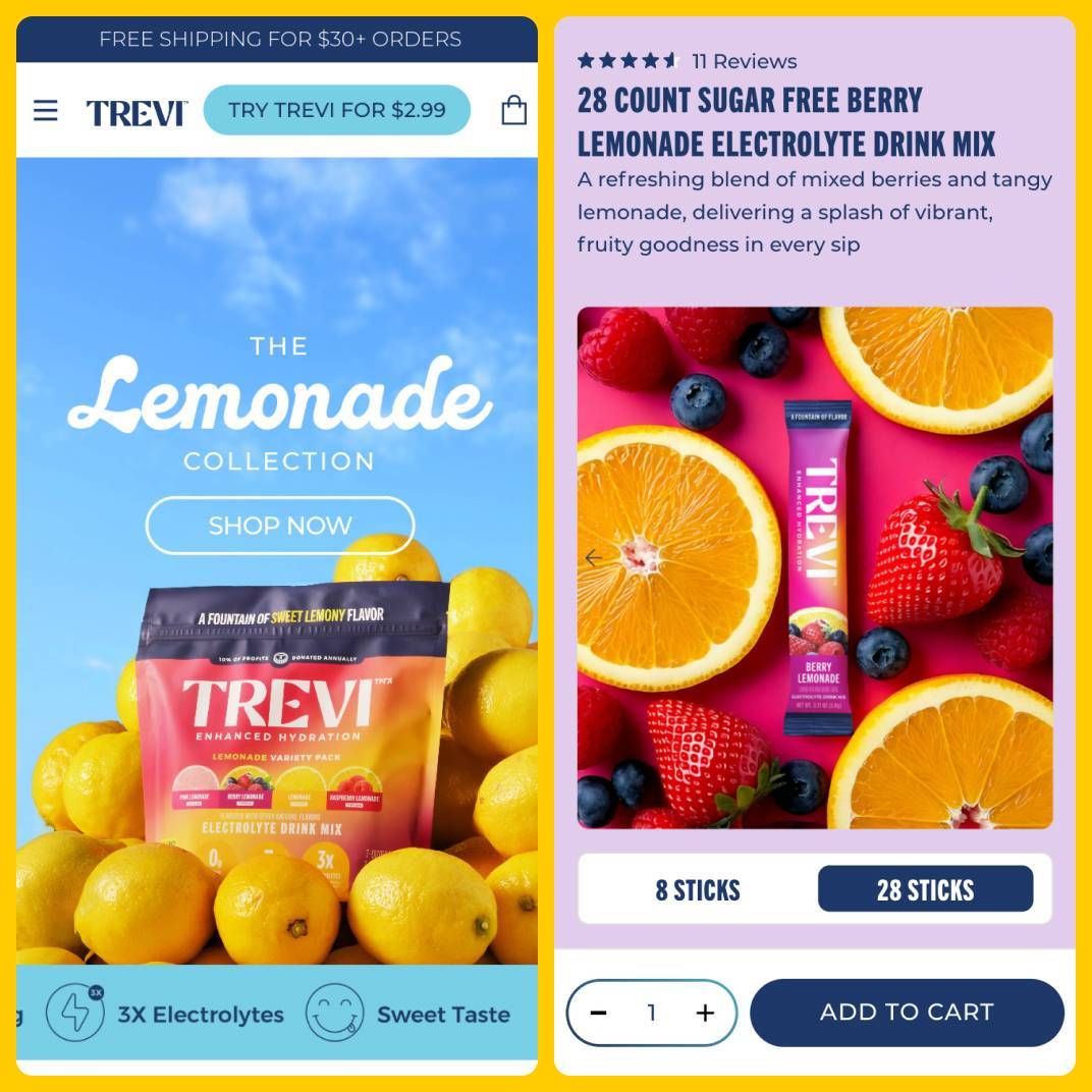 Trevi Lemonade Collection and 28 Count Drink Mix