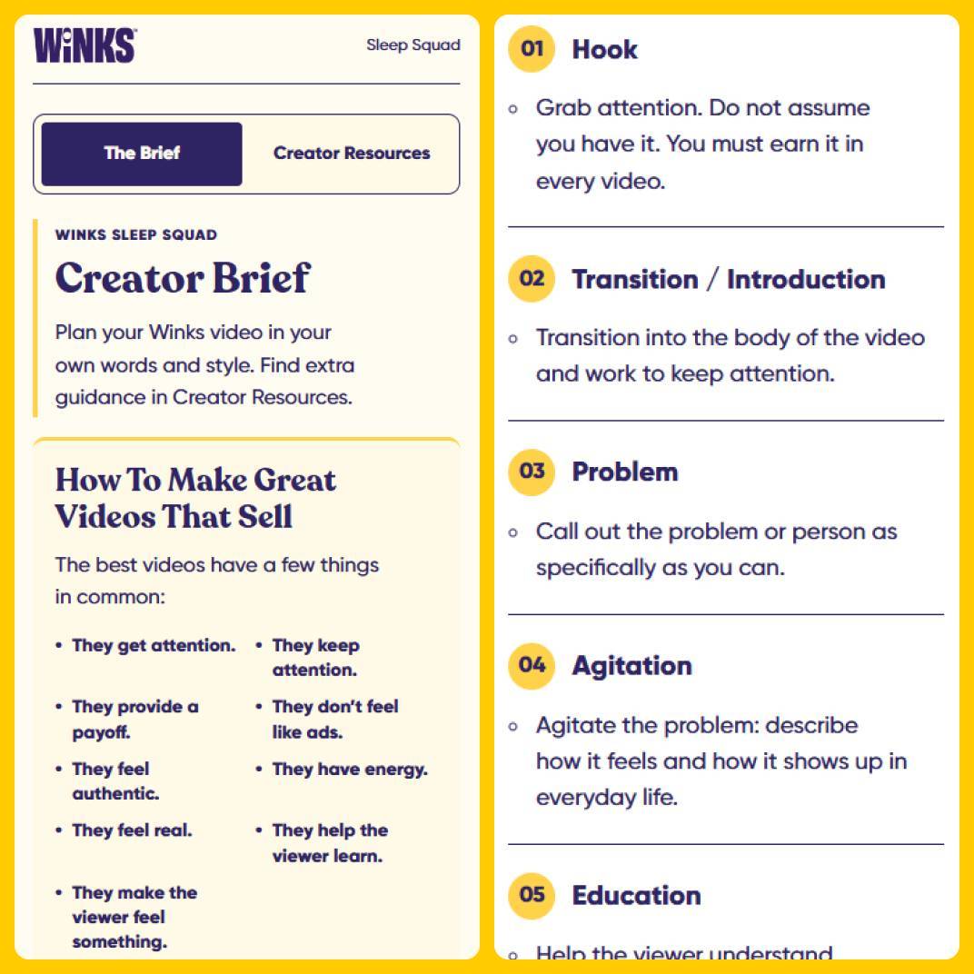 Winks Creator Brief