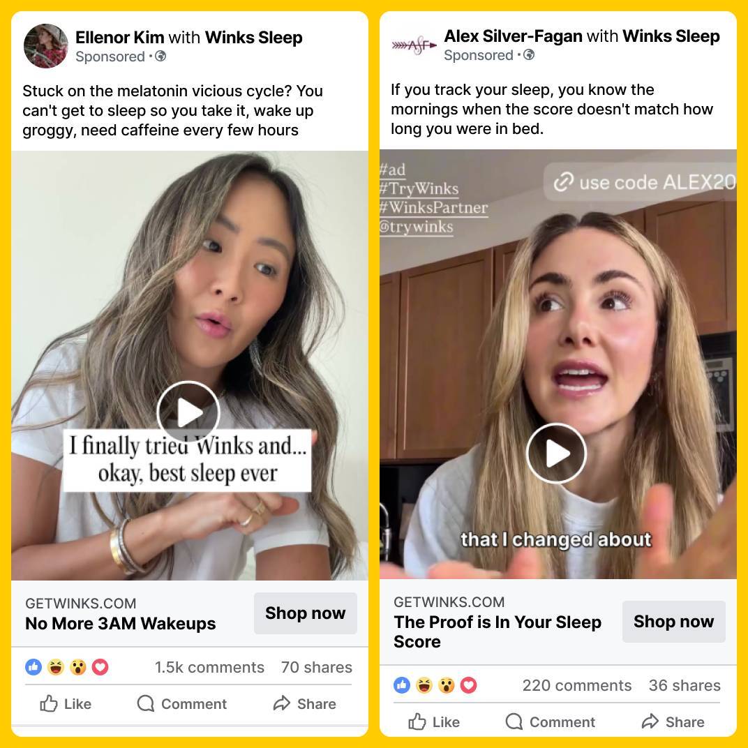 Winks Partnership Meta Ads