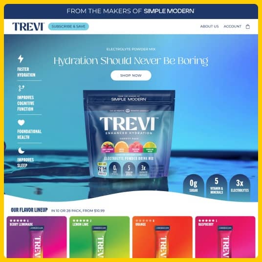 Trevi Homepage