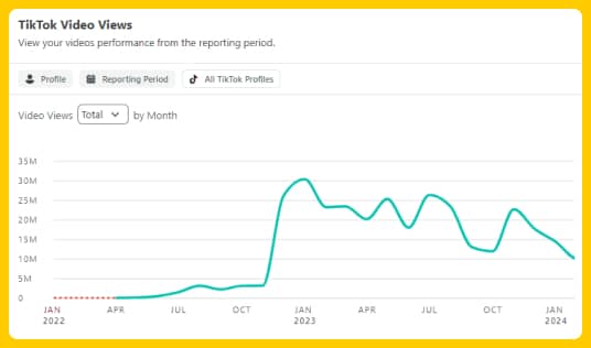 VKTRY TikTok Video Views