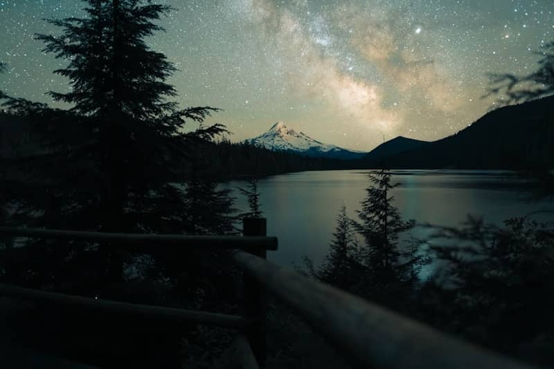 A dark image of a lake with tall pine trees in the foreground and the top of a mountain in the distance.