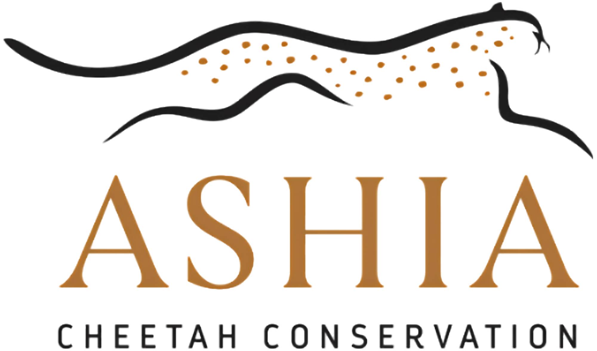 Ashia Cheetah Conservation Logo