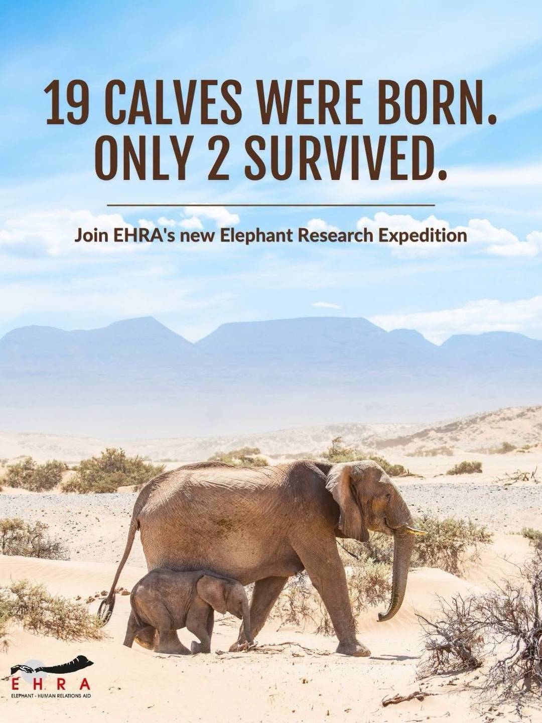 Social media posts from EHRA promoting the expedition