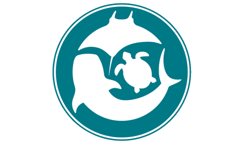 Marine Megafauna Foundation Logo