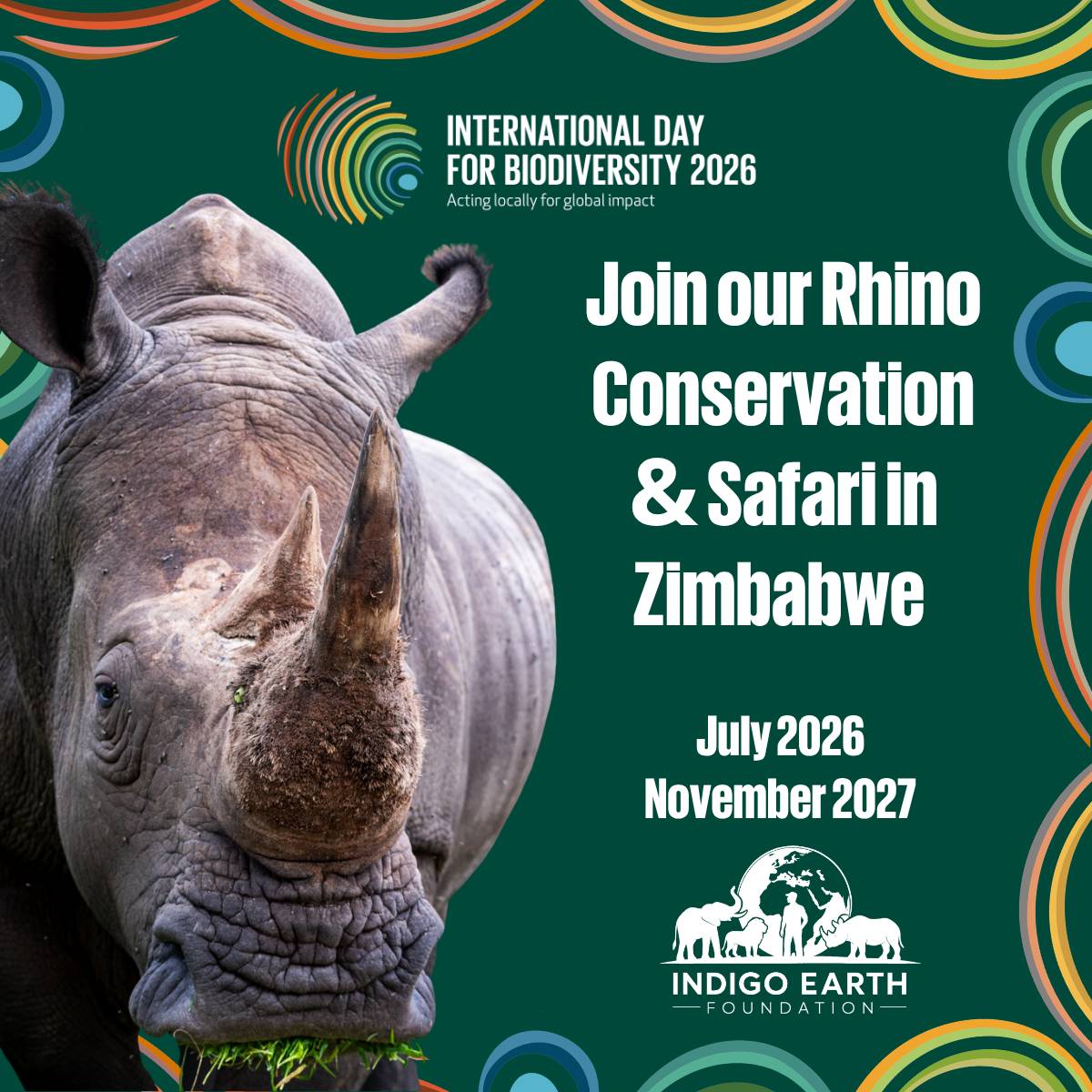 Join Indigo Earth Foundation Rhino Conservation and Safari Trip in Zimbabwe