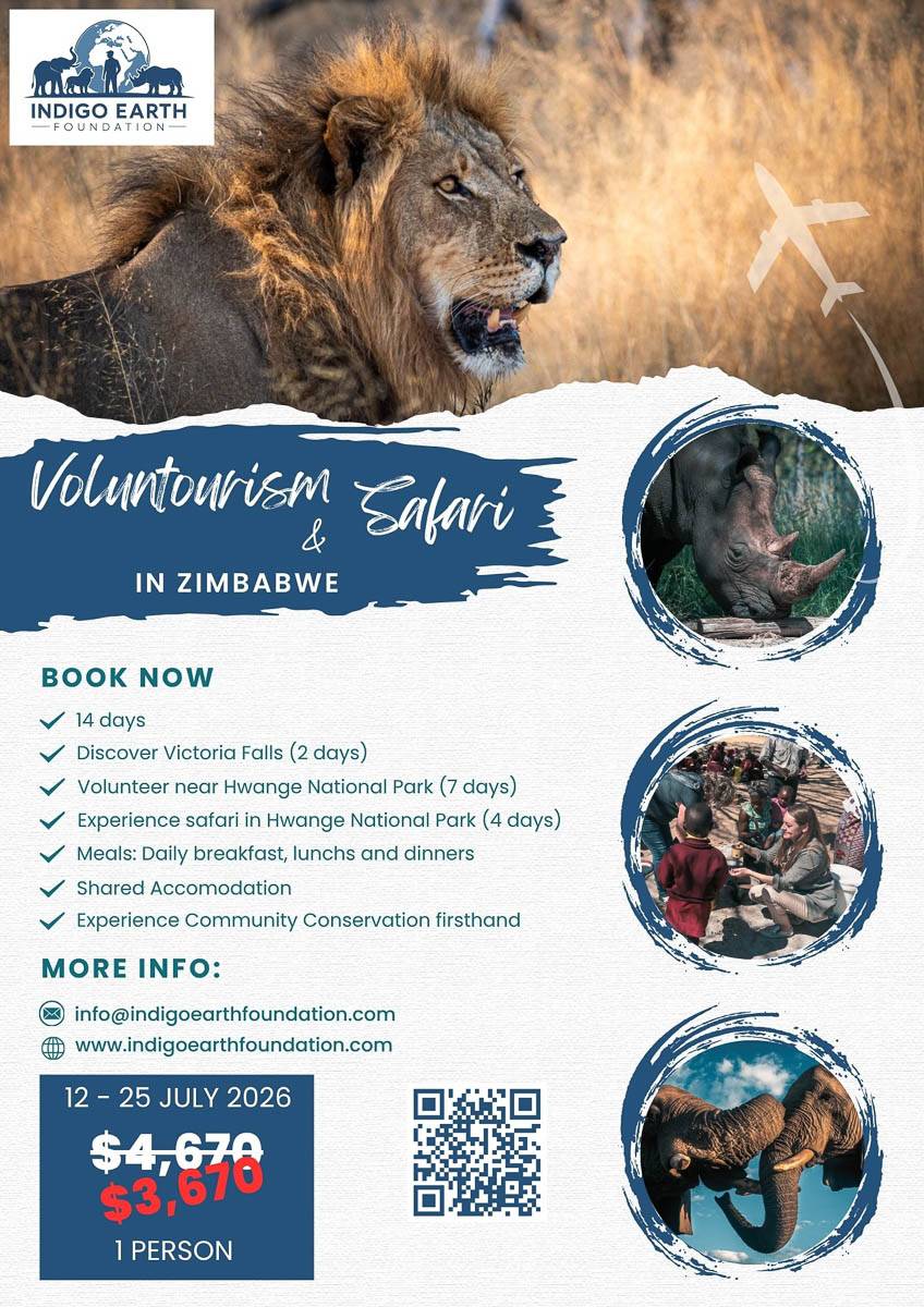 Conservation Safari in Zimbabwe 2026