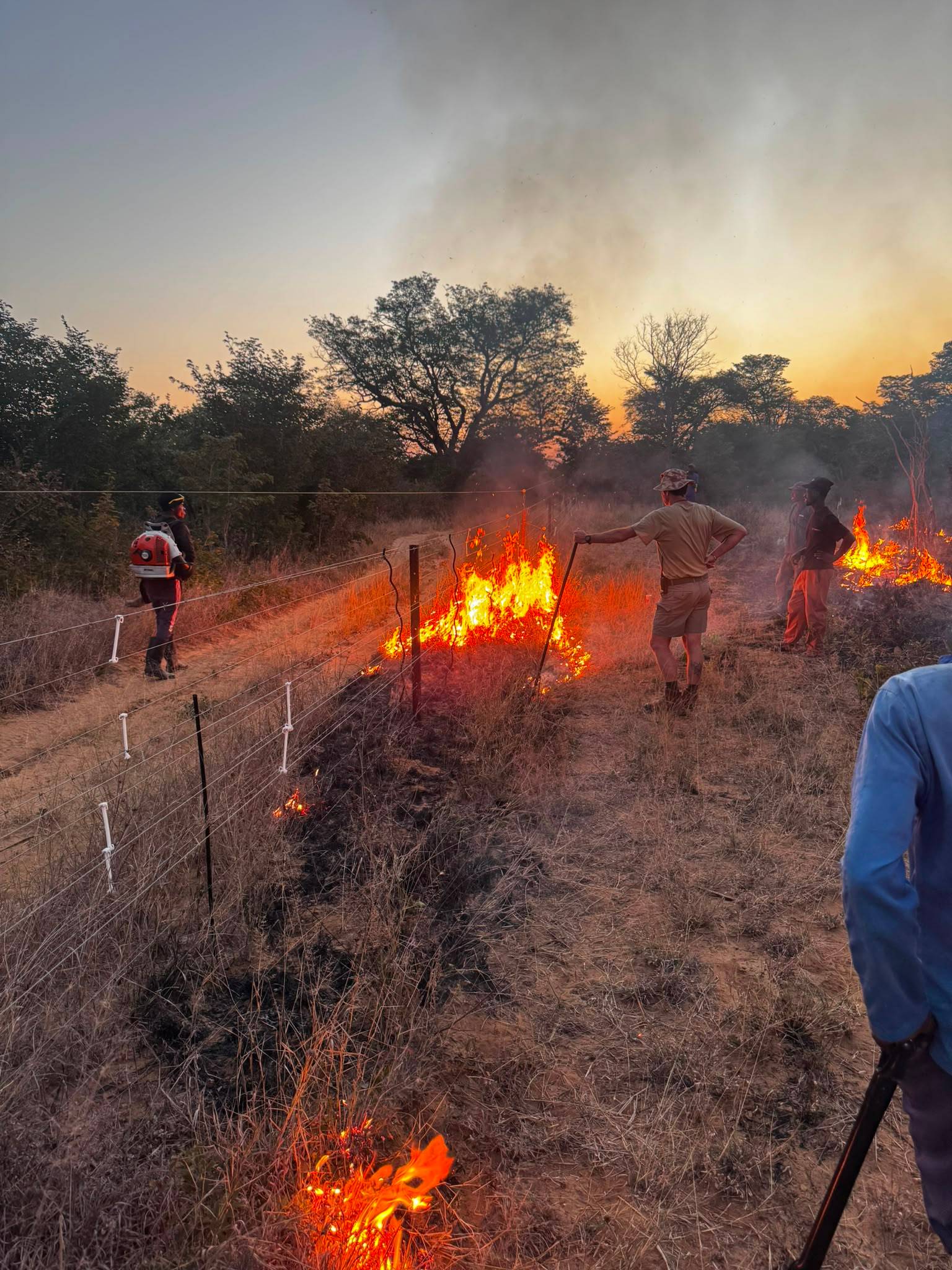 Participants clearing a fire guard in Hwange, Zimbabwe, one of the practical conservation tasks on the first Rhino Conservation & Safari Journey
