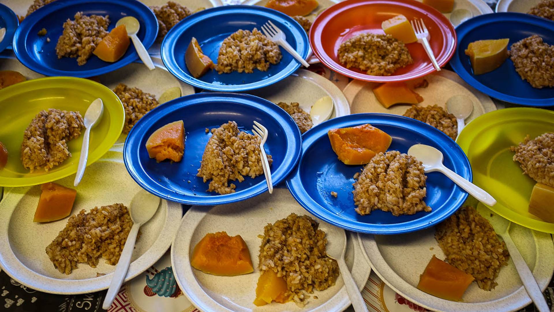 School Meals
