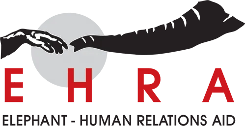 EHRA Logo