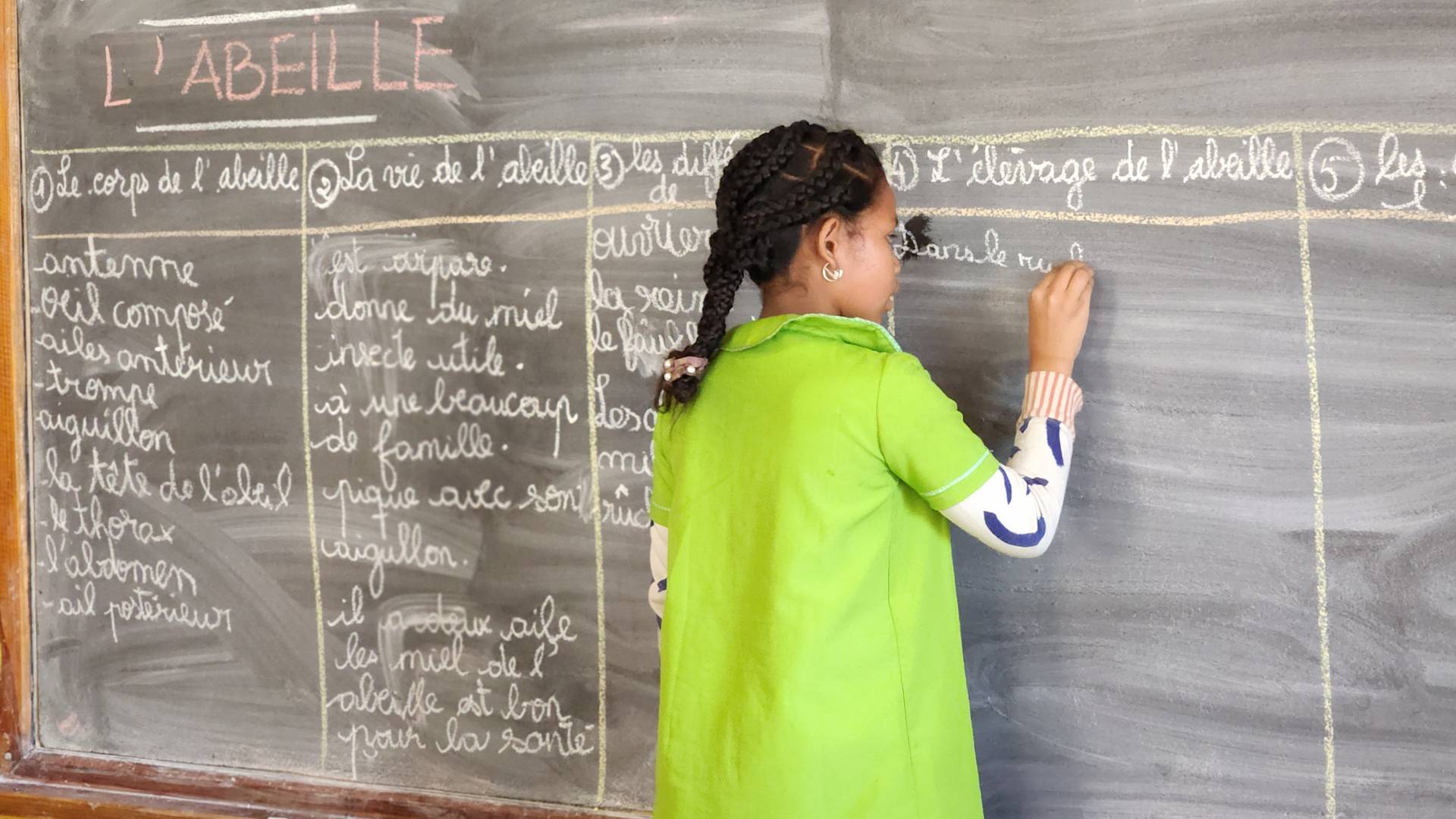 Student writing on the chalkboard about bees