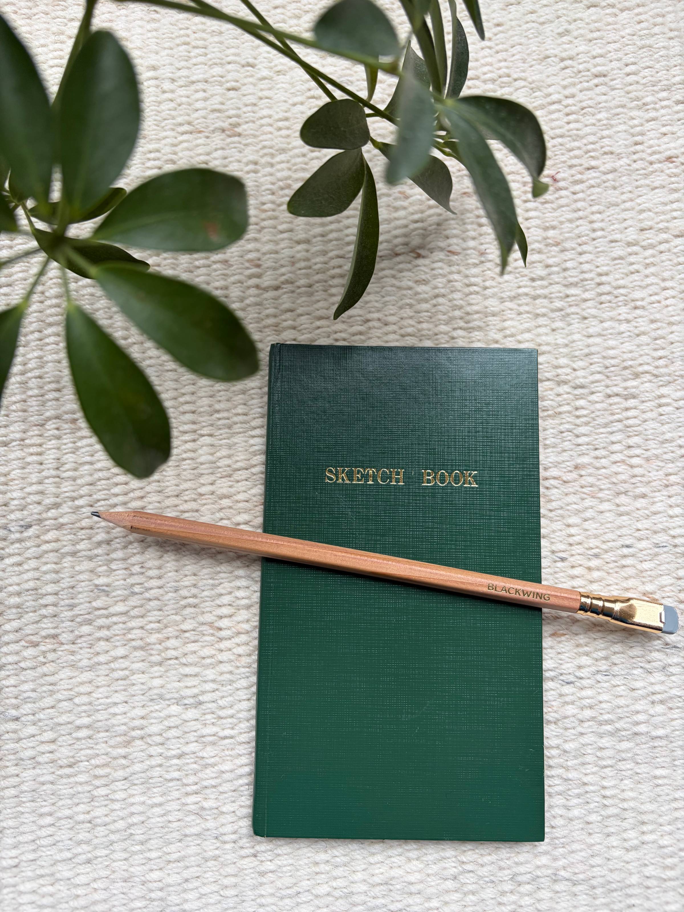 A green Kokuyo sketchbook and Blackwing pencil on a white surface, framed by the green leaves of a houseplant.
