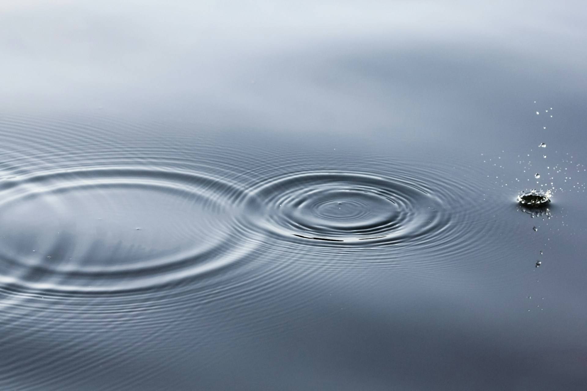 Three overlapping water ripples spreading outward at different stages on smooth water