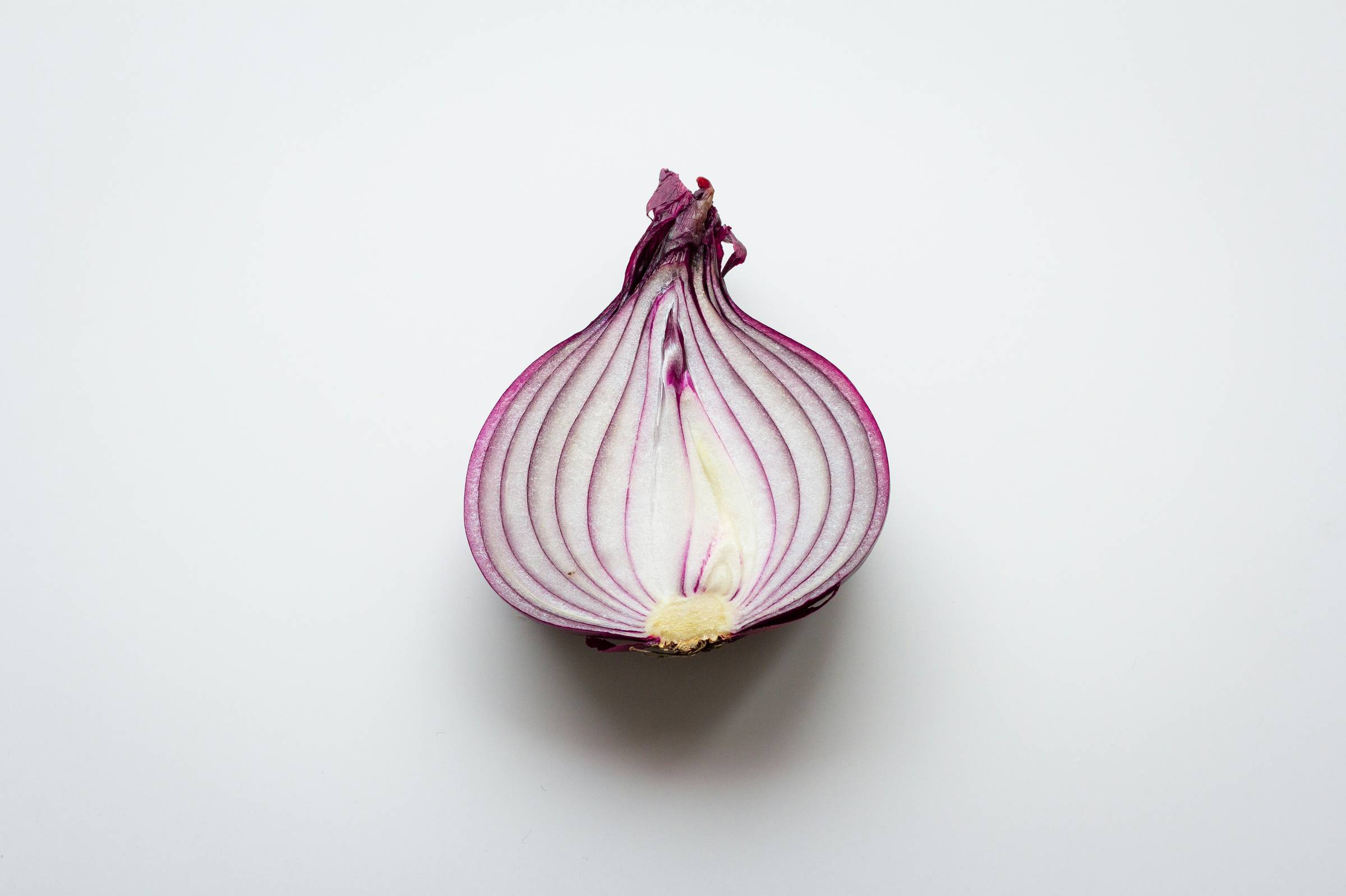 Half of a red onion cut lengthwise showing inner layers on a white background, Photo by K8 on Unsplash