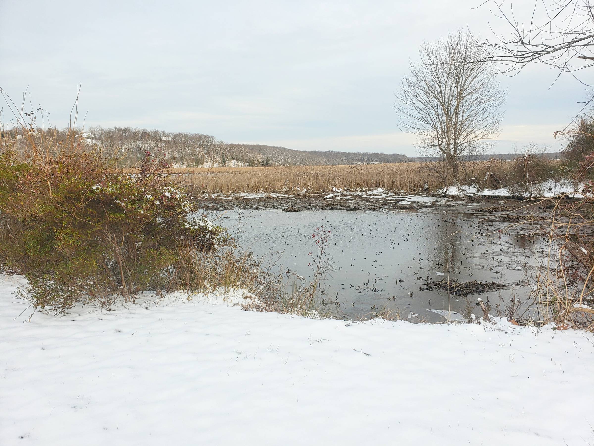 Winter snow on the creek