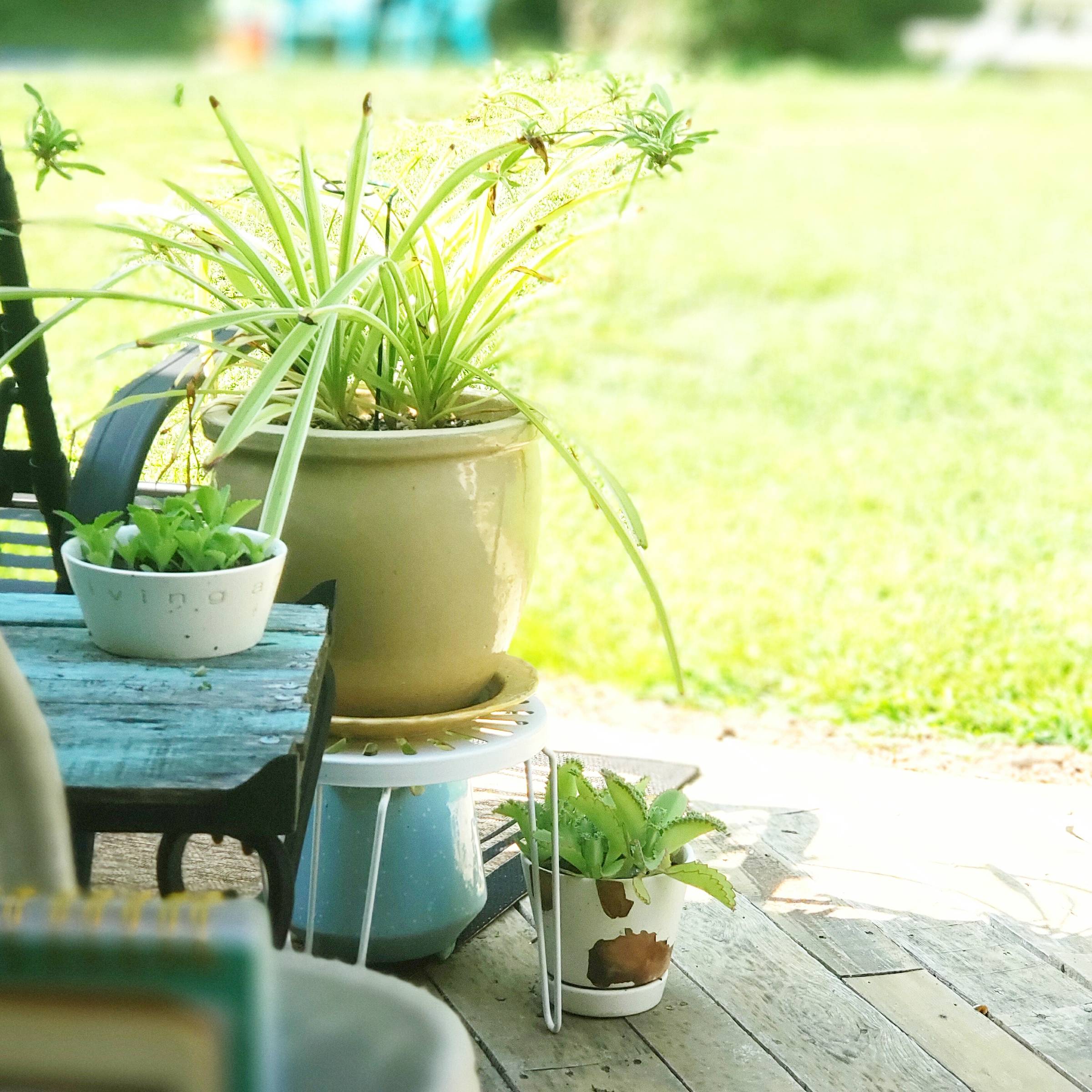 View of my back patio & "quiet place"