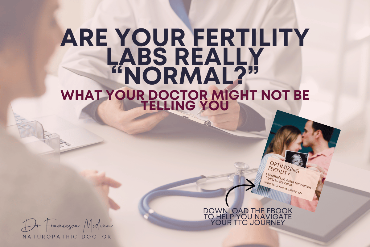 The image features a background showing a doctor consulting with a patient. Overlaid text reads "Are your fertility labs really 'normal?' What your doctor might not be telling you." At the bottom, there is a promotional section for an eBook titled "Optimi