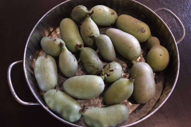 A tray filled with pawpaw fruit